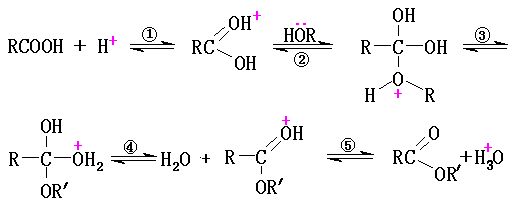 圖二 SN2原理反應式