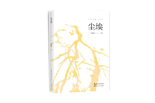 塵埃(2023年長江文藝出版社出版的圖書) 塵埃(2023年長江文藝出版社出版的圖書)