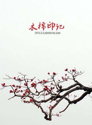 吳朋奉 吳朋奉