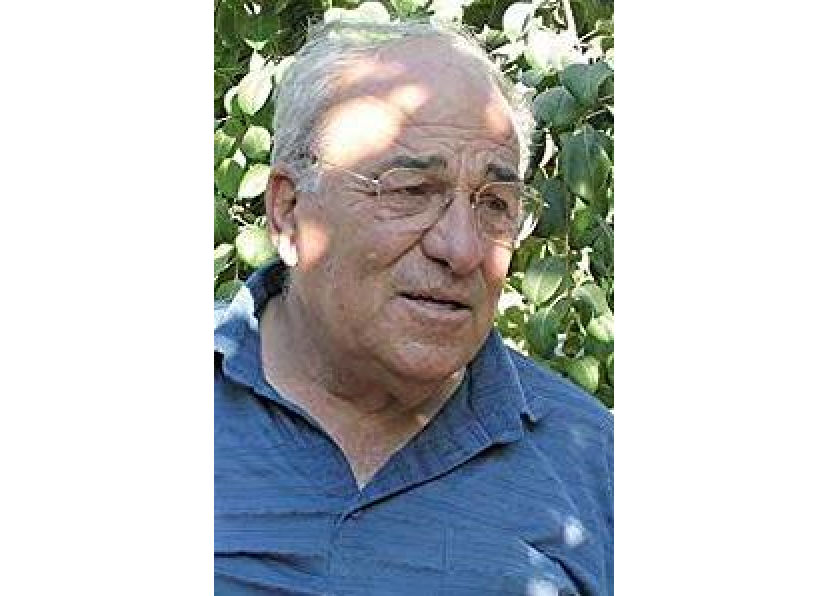 Jacques Cohen Jacques Cohen