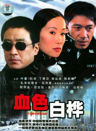 陳麗娜(中國內地演員)