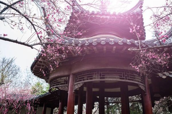 梅崗(是雨花颱風景名勝區內的景點) 梅崗(是雨花颱風景名勝區內的景點)