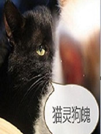 貓靈狗魄 貓靈狗魄