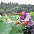 四龍鄉