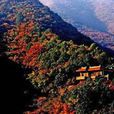 姑射山 姑射山