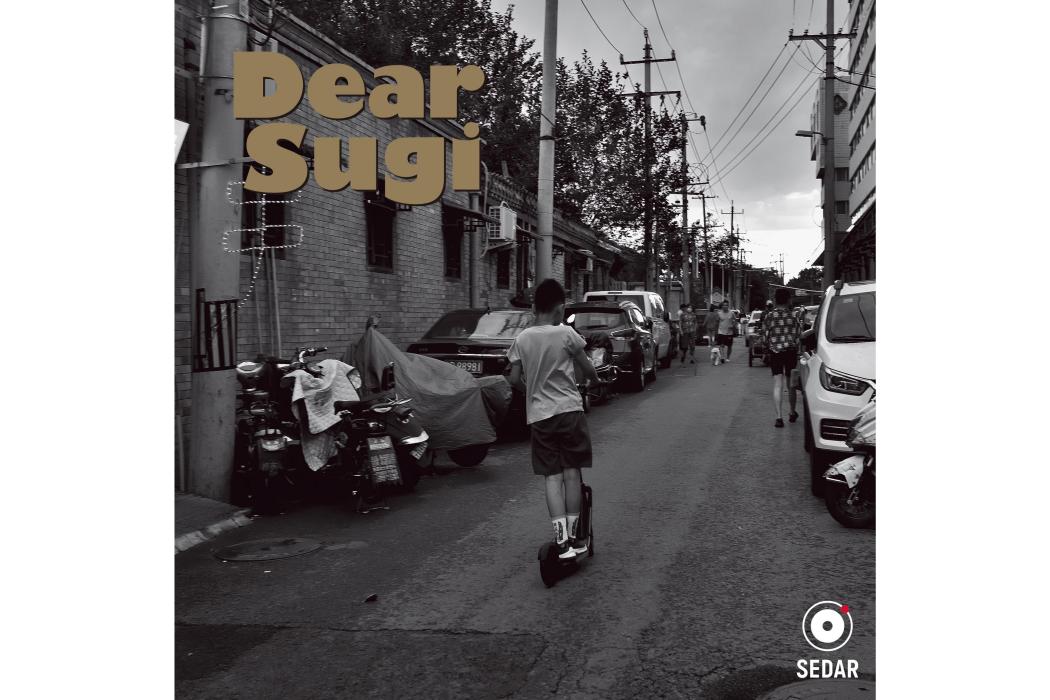 Dear Sugi Dear Sugi