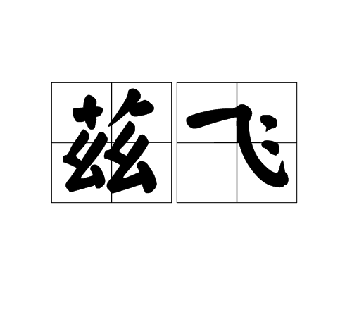 茲飛 茲飛