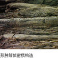 窗欞構造 窗欞構造