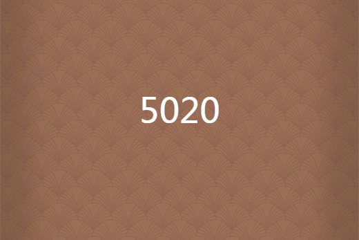 5020 5020