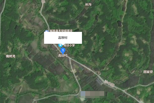 高壩村(陝西省漢中市城固縣天明鎮下轄村) 高壩村(陝西省漢中市城固縣天明鎮下轄村)