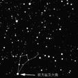 天角星 天角星