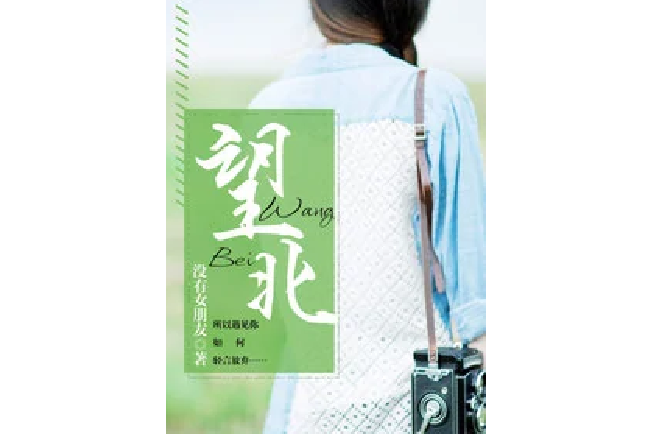望北