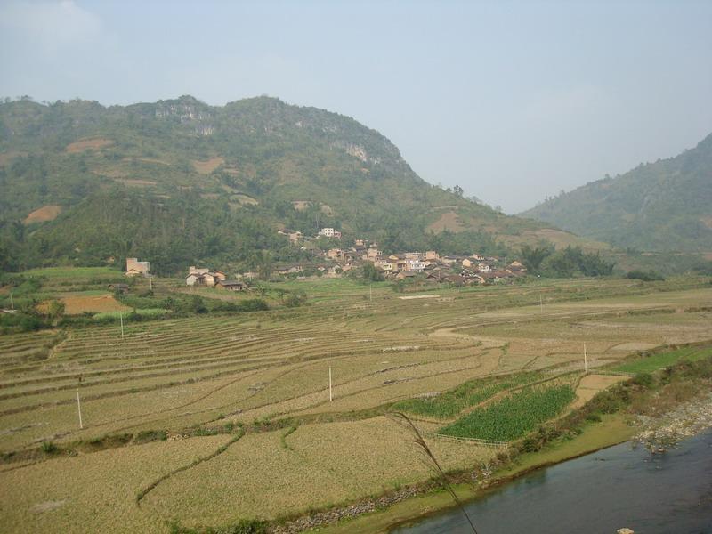 坡令村 坡令村