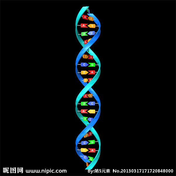 DNA的雙螺旋