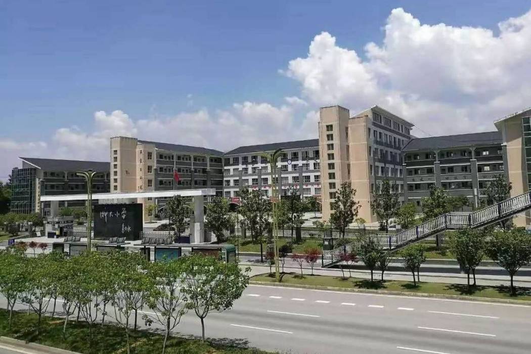 浙大國小 浙大國小