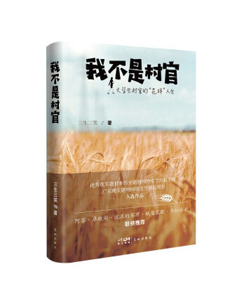 我不是村官(2022年花城出版社出版的圖書) 我不是村官(2022年花城出版社出版的圖書)