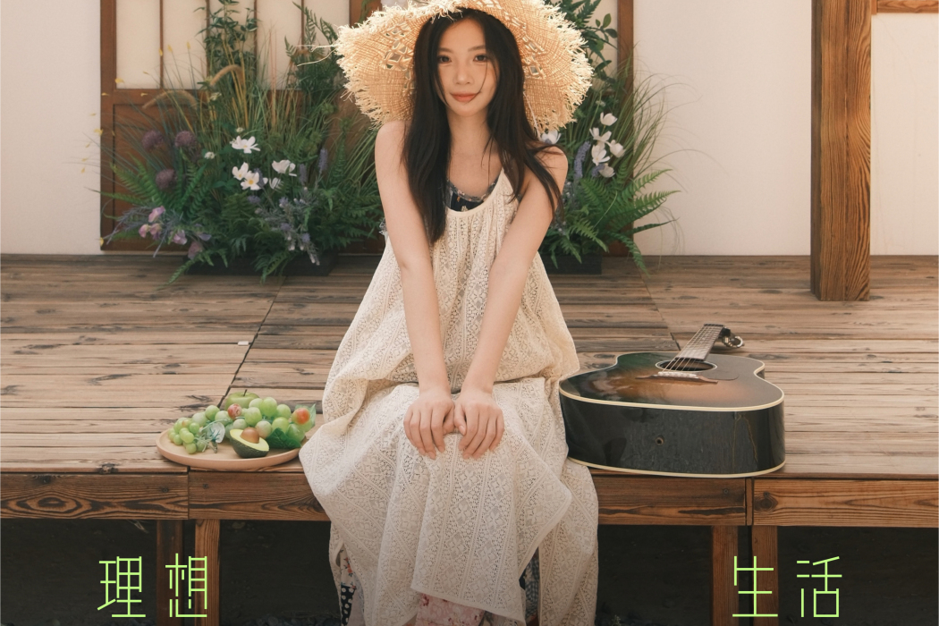 理想生活(田穎演唱的歌曲)