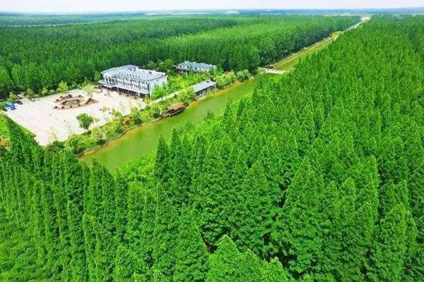 鹽城林場 鹽城林場
