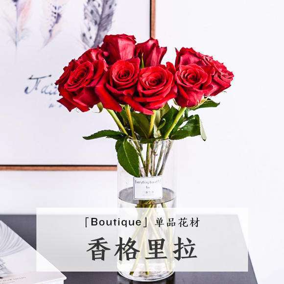 香格里拉(玫瑰花) 香格里拉(玫瑰花)