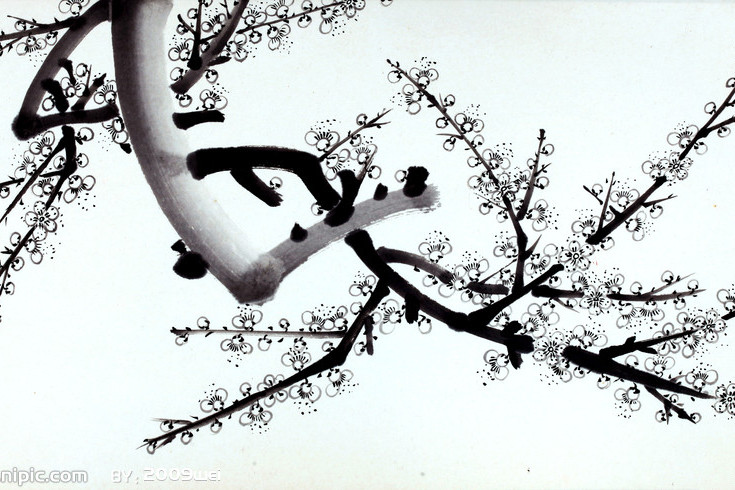 白梅圖 白梅圖