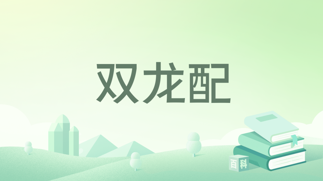 雙龍配