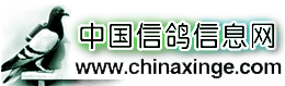 中國信鴿信息網