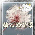 蒲公英花季 蒲公英花季