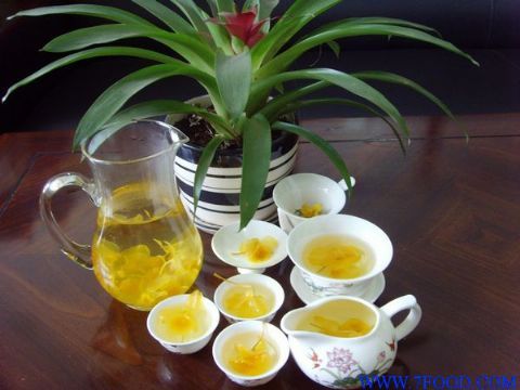 天籽蘭花 天籽蘭花