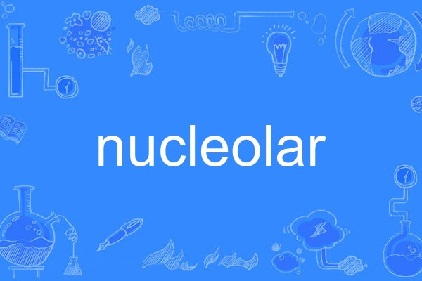 nucleolar nucleolar