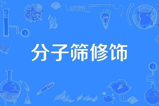 分子篩修飾 分子篩修飾