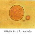 EC(醫藥名詞) EC(醫藥名詞)