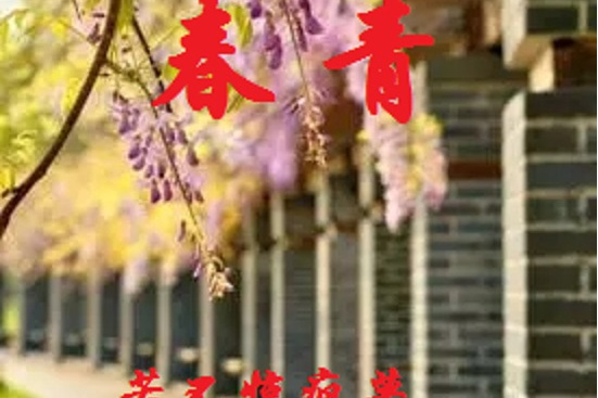 春青 春青