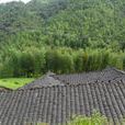 張家寨(福建省清流縣山寨) 張家寨(福建省清流縣山寨)
