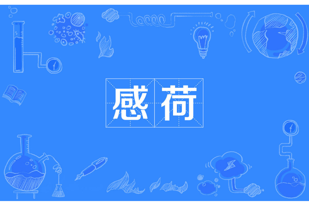 感荷 感荷