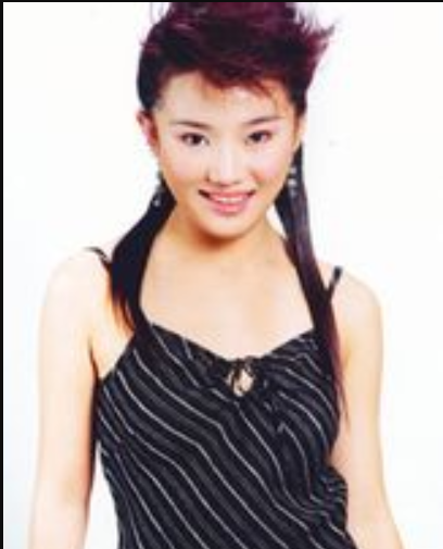 張文雅(中國內地女演員) 張文雅(中國內地女演員)