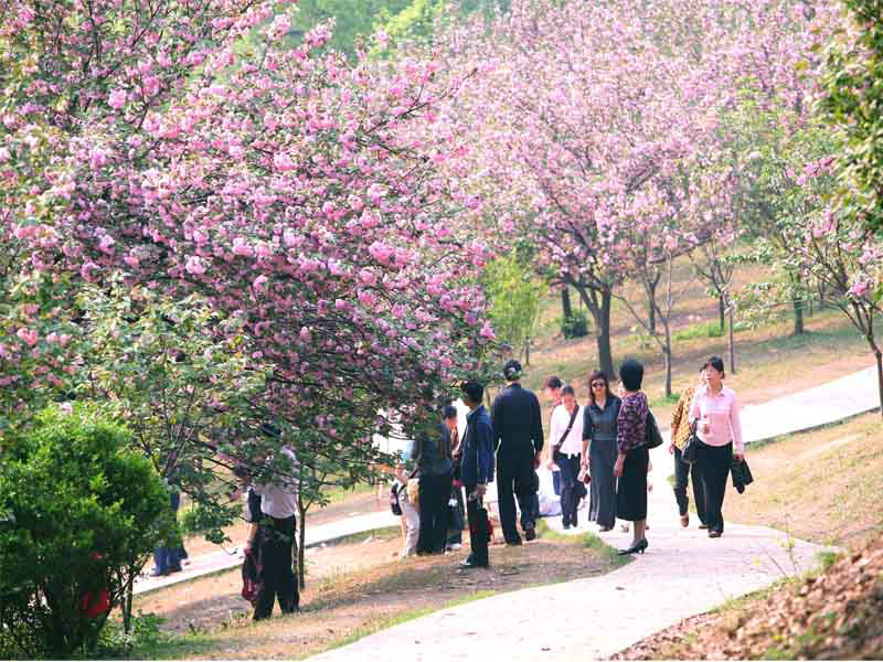 湖南株洲石峰公園
