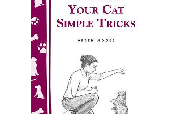 Teaching Your Cat Simple Tricks Teaching Your Cat Simple Tricks