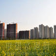 城鎮化建設