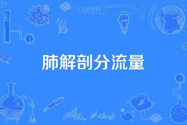 肺解剖分流量 肺解剖分流量