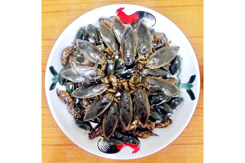 桂花蟬(廣州番禺美食) 桂花蟬(廣州番禺美食)