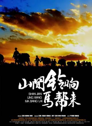 張馨戈 張馨戈