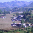前大地村 前大地村