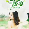 獨寵暖妻 獨寵暖妻
