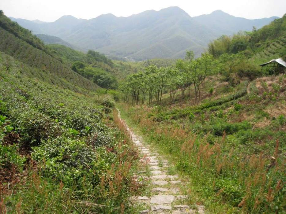 通天嶺古道 通天嶺古道
