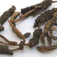 蘆子(蘆子) 蘆子(蘆子)
