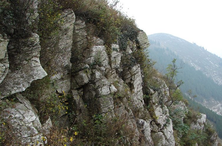 大伓山 大伓山