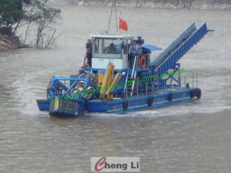 清漂 清漂