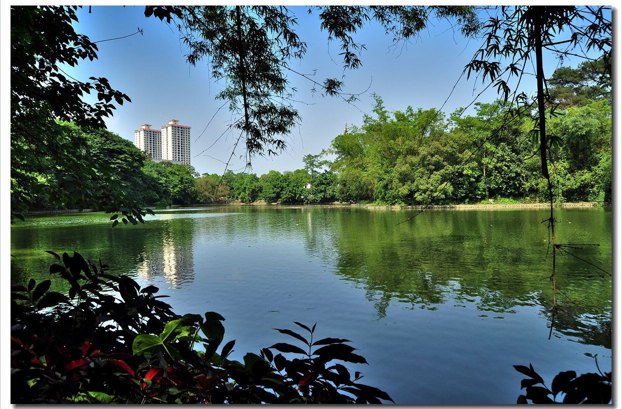 小湖社區 小湖社區