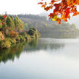 聯溪村(廣東省惠州市惠陽區鎮隆鎮聯溪村) 聯溪村(廣東省惠州市惠陽區鎮隆鎮聯溪村)