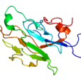 RNF8 RNF8